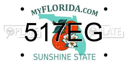 517EG Florida License Plate