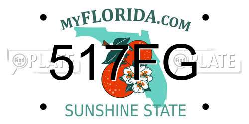 517FG Florida License Plate