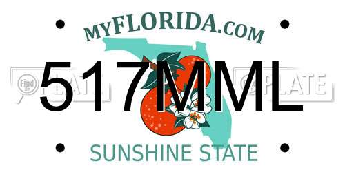 517MML Florida License Plate