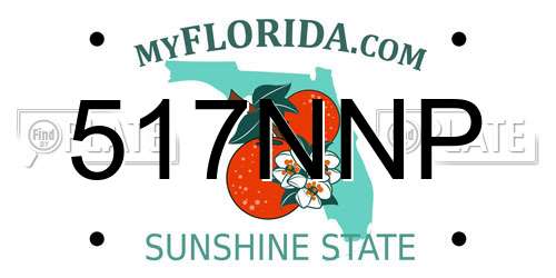 517NNP Florida License Plate