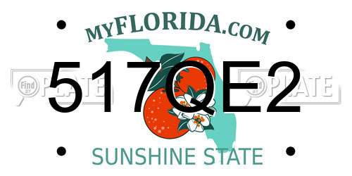 517QE2 Florida License Plate