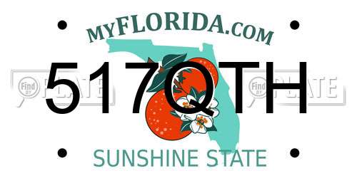 517QTH Florida License Plate