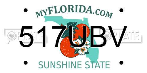 517UBV Florida License Plate