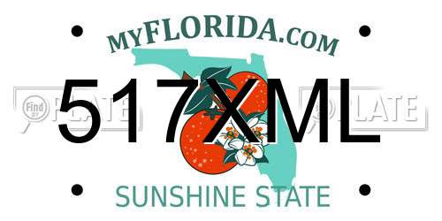 517XML Florida License Plate