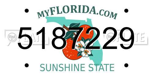 5187229 Florida License Plate