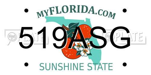 519ASG Florida License Plate