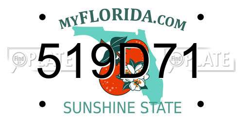 519D71 Florida License Plate