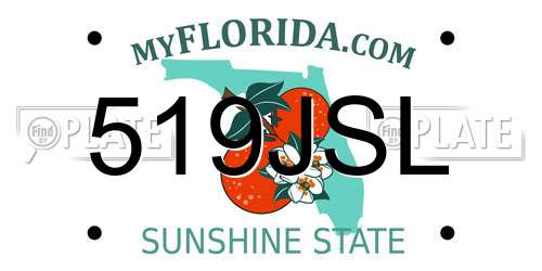 519JSL Florida License Plate