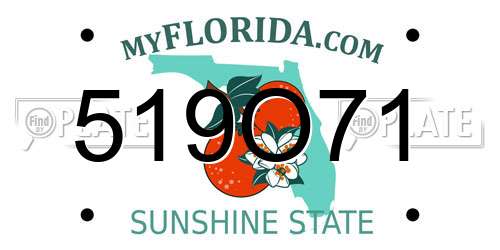519O71 Florida License Plate