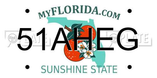 51AHEG Florida License Plate