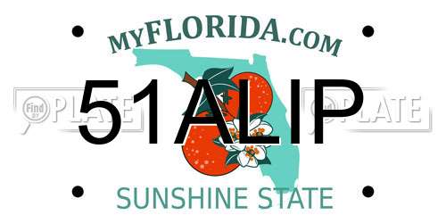51ALIP Florida License Plate