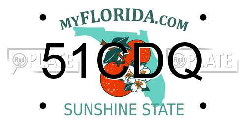 51CDQ Florida License Plate