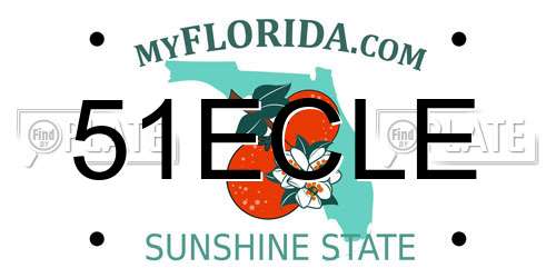 51ECLE Florida License Plate