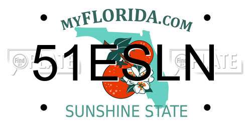 51ESLN Florida License Plate