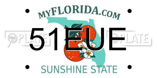 51EUE Florida License Plate