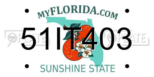 51IT403 Florida License Plate