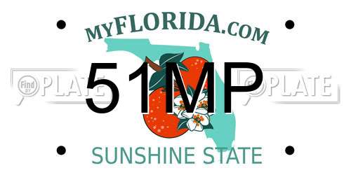 51MP Florida License Plate