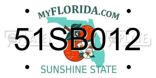 51SB012 Florida License Plate