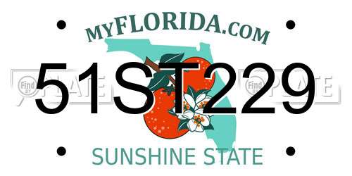 51ST229 Florida License Plate