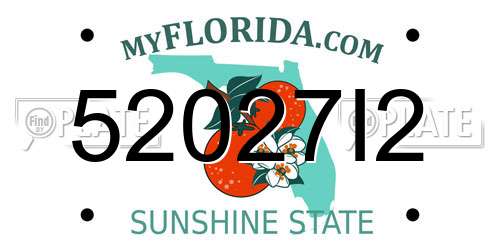 52027I2 Florida License Plate