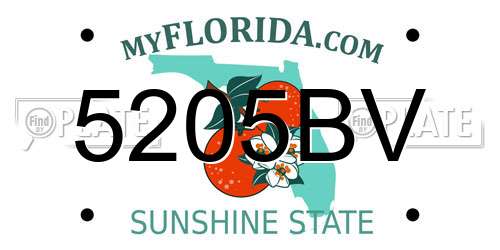 5205BV Florida License Plate