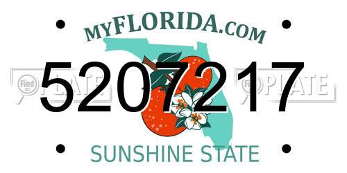 5207217 Florida License Plate