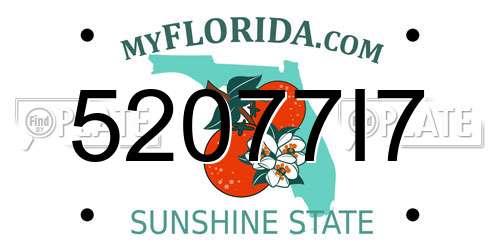52077I7 Florida License Plate