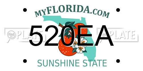 520EA Florida License Plate