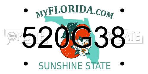 520G38 Florida License Plate