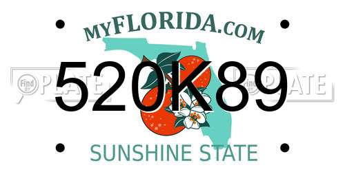520K89 Florida License Plate