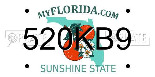 520KB9 Florida License Plate