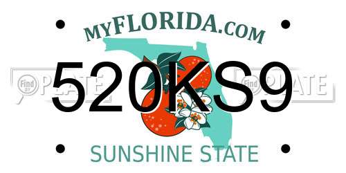 520KS9 Florida License Plate