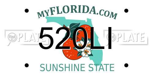 520LI Florida License Plate