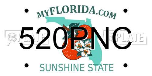 520PNC Florida License Plate