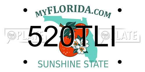 520TLI Florida License Plate