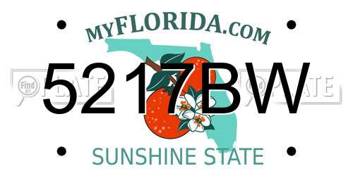5217BW Florida License Plate