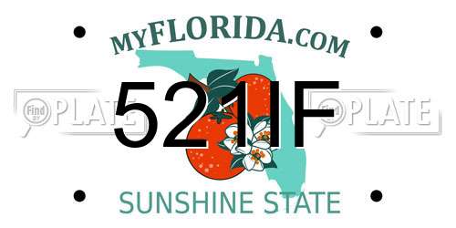 521IF Florida License Plate