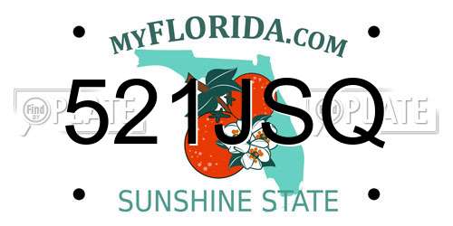 521JSQ Florida License Plate
