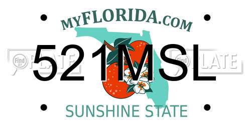 521MSL Florida License Plate