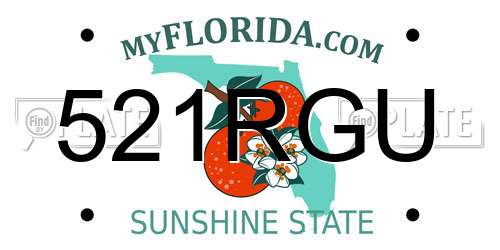 521RGU Florida License Plate