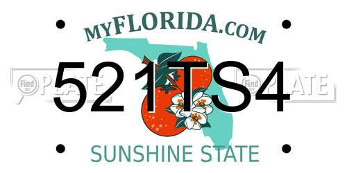 521TS4 Florida License Plate