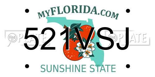521VSJ Florida License Plate