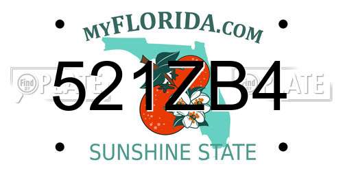 521ZB4 Florida License Plate