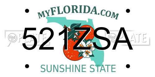 521ZSA Florida License Plate