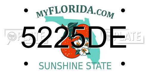 5225DE Florida License Plate