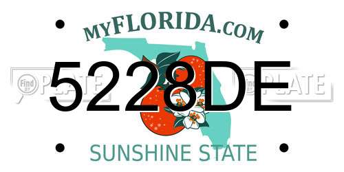 5228DE Florida License Plate
