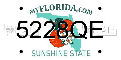 5228QE Florida License Plate