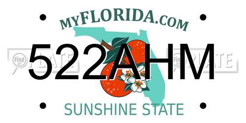 522AHM Florida License Plate