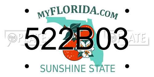 522B03 Florida License Plate