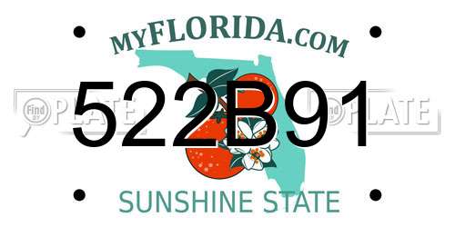 522B91 Florida License Plate